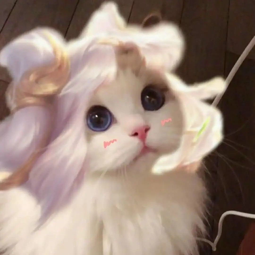 王者荣耀猫咪头像嫦娥原图无水印 头像猫咪嫦娥原图无水印 王者荣耀猫咪头像嫦娥原图无水印 头像猫咪嫦娥原图无水印