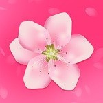 鉴黄师免费下载