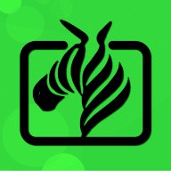 17c-c起草视频app