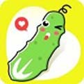 mdapp02.tⅴ