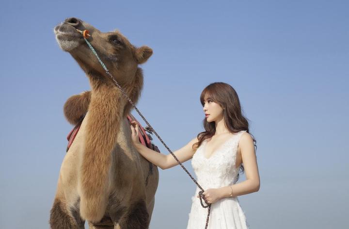 便携式精华液