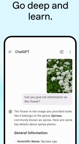 ChatGPT国内免费版1