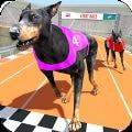 赛狗锦标赛Dog Racing Championship_logo