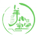 羊小宝安卓中文免费下载